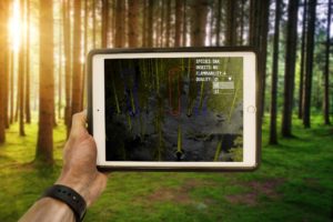 Read more about the article The 1st LiDAR that Sees Individual Trees While 3D Mapping Forests in Real-Time