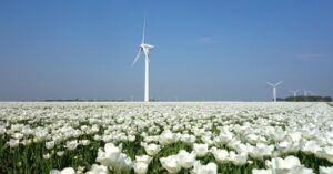 Read more about the article The Netherlands is the ideal breeding ground for green tech startups
<span class="bsf-rt-reading-time"><span class="bsf-rt-display-label" prefix=""></span> <span class="bsf-rt-display-time" reading_time="1"></span> <span class="bsf-rt-display-postfix" postfix="min read"></span></span><!-- .bsf-rt-reading-time -->