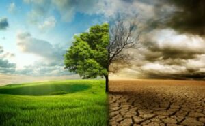 Read more about the article $100K Cash Prize Awaits Climate Change-Conscious XR Creators