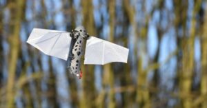 Read more about the article Are bioinspired drones the next big thing in unmanned flight?
<span class="bsf-rt-reading-time"><span class="bsf-rt-display-label" prefix=""></span> <span class="bsf-rt-display-time" reading_time="5"></span> <span class="bsf-rt-display-postfix" postfix="min read"></span></span><!-- .bsf-rt-reading-time -->