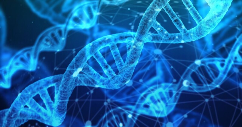 You are currently viewing AI trained on ape DNA predicts genetic disease risks for humans
<span class="bsf-rt-reading-time"><span class="bsf-rt-display-label" prefix=""></span> <span class="bsf-rt-display-time" reading_time="2"></span> <span class="bsf-rt-display-postfix" postfix="min read"></span></span><!-- .bsf-rt-reading-time -->