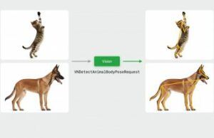 Read more about the article Apple’s Computer Vision Tool for Developers Now Tracks Dogs & Cats