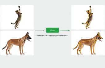You are currently viewing Apple’s Computer Vision Tool for Developers Now Tracks Dogs & Cats
<span class="bsf-rt-reading-time"><span class="bsf-rt-display-label" prefix=""></span> <span class="bsf-rt-display-time" reading_time="2"></span> <span class="bsf-rt-display-postfix" postfix="min read"></span></span><!-- .bsf-rt-reading-time -->