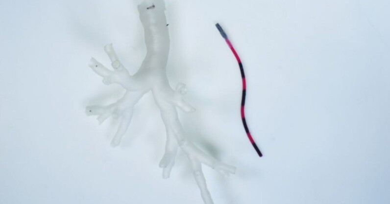 You are currently viewing These tiny robotic tentacles could travel into the lungs to treat cancer
<span class="bsf-rt-reading-time"><span class="bsf-rt-display-label" prefix=""></span> <span class="bsf-rt-display-time" reading_time="2"></span> <span class="bsf-rt-display-postfix" postfix="min read"></span></span><!-- .bsf-rt-reading-time -->