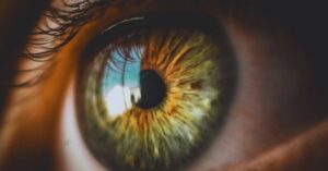 Read more about the article AI-analysed 3D eye scans can detect signs of Parkinson’s, study finds
<span class="bsf-rt-reading-time"><span class="bsf-rt-display-label" prefix=""></span> <span class="bsf-rt-display-time" reading_time="1"></span> <span class="bsf-rt-display-postfix" postfix="min read"></span></span><!-- .bsf-rt-reading-time -->