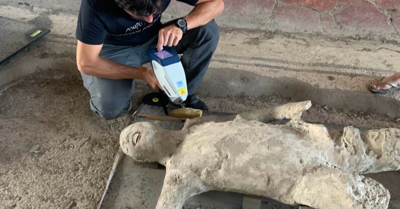 You are currently viewing X-Ray tech uncovers how Pompeii’s fleeing residents met their end
<span class="bsf-rt-reading-time"><span class="bsf-rt-display-label" prefix=""></span> <span class="bsf-rt-display-time" reading_time="1"></span> <span class="bsf-rt-display-postfix" postfix="min read"></span></span><!-- .bsf-rt-reading-time -->