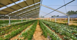 Read more about the article EU backs new project that combines solar power with agriculture
<span class="bsf-rt-reading-time"><span class="bsf-rt-display-label" prefix=""></span> <span class="bsf-rt-display-time" reading_time="2"></span> <span class="bsf-rt-display-postfix" postfix="min read"></span></span><!-- .bsf-rt-reading-time -->