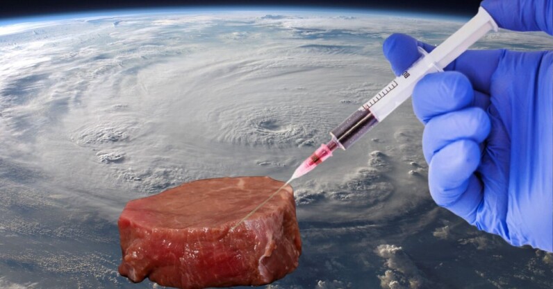 You are currently viewing Cultivated meat is a ‘promising’ space food for astronauts, ESA says
<span class="bsf-rt-reading-time"><span class="bsf-rt-display-label" prefix=""></span> <span class="bsf-rt-display-time" reading_time="2"></span> <span class="bsf-rt-display-postfix" postfix="min read"></span></span><!-- .bsf-rt-reading-time -->