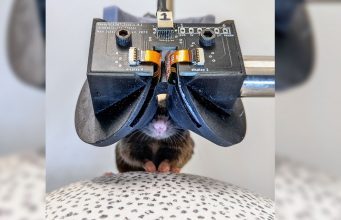 You are currently viewing Scientists Build an Itty-bitty VR Headset to Better Study Mice
<span class="bsf-rt-reading-time"><span class="bsf-rt-display-label" prefix=""></span> <span class="bsf-rt-display-time" reading_time="2"></span> <span class="bsf-rt-display-postfix" postfix="min read"></span></span><!-- .bsf-rt-reading-time -->