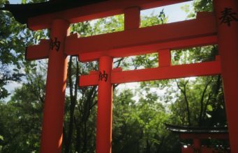 You are currently viewing ‘Lushfoil Photography Sim’ Confirms VR Support Coming “Soon”
<span class="bsf-rt-reading-time"><span class="bsf-rt-display-label" prefix=""></span> <span class="bsf-rt-display-time" reading_time="1"></span> <span class="bsf-rt-display-postfix" postfix="min read"></span></span><!-- .bsf-rt-reading-time -->